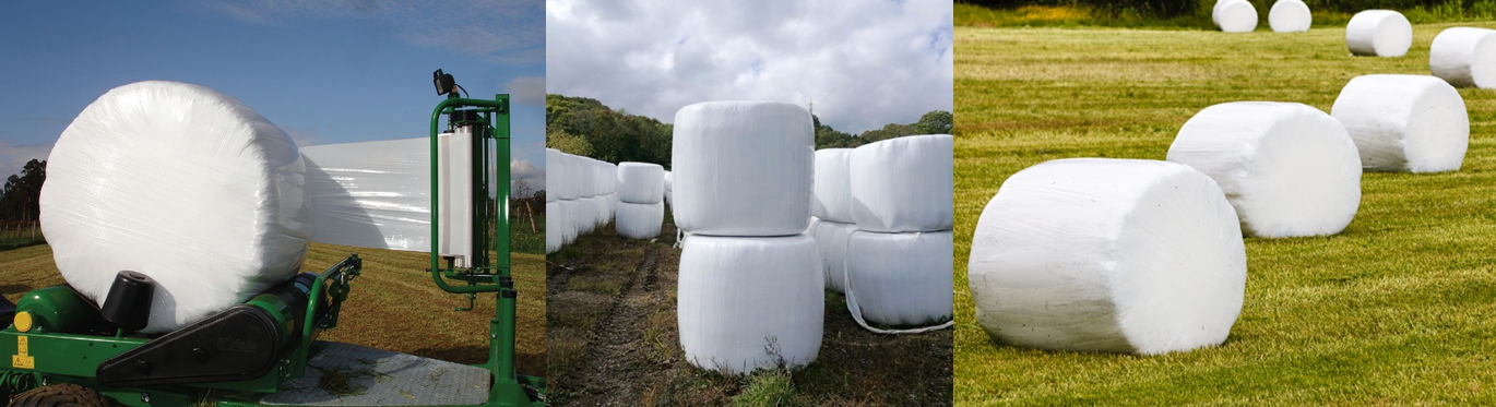 Silagefolienfolie